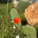 Bed and Breakfast A Casa Di Claudia Μαρτίνα Φράνκα