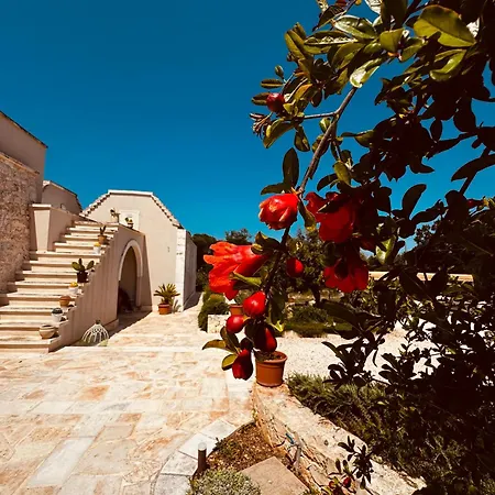 Bed & Breakfast A Casa Di Claudia