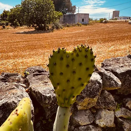 A Casa Di Claudia 4* Martina Franca